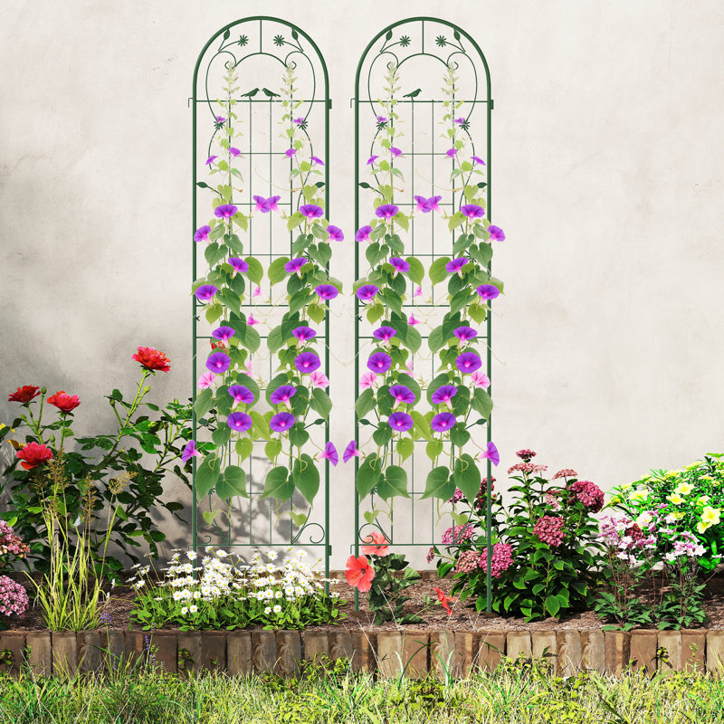 Metal Arched Trellis, Green, 220cm H x 50cm W