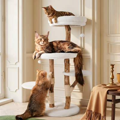 Arbre à chat en bois massif, condos à plusieurs niveaux