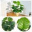 31,5 "Faux arbre Devil's Ivy Scindapsus Aureus en pot noir-1798766426