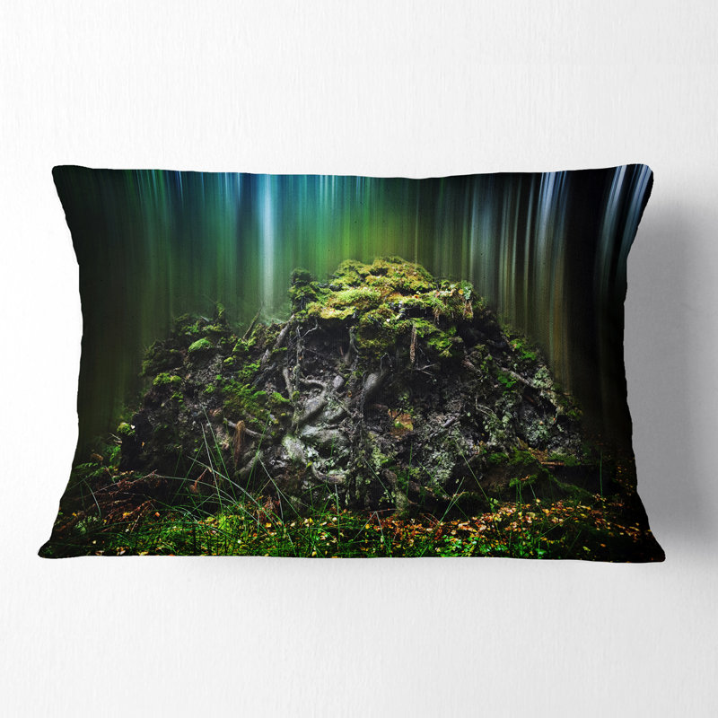 Coussin Schafer