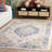 Kiosha Performance Performance Oriental Rug-1773741383