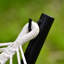 Chesterwood Spreader Bar Hammock with Stand-1918111551