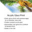 Gros plan sur un cocotier