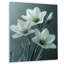 Jonquilles monochromes grises et blanches Photo II - Jonquilles murales, salon-106119378-106119380