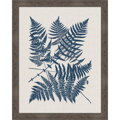 « polypodies ferns »-cadre photo, impression sur papier