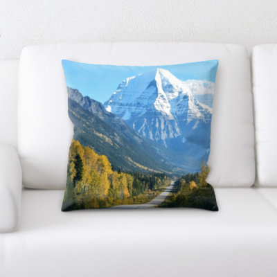 Coussin décoratif