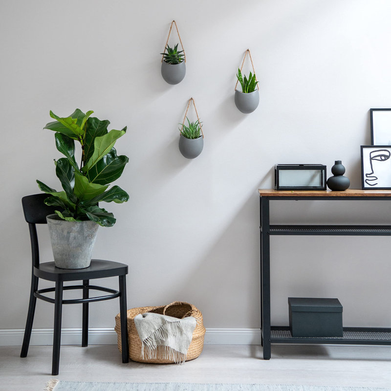 Hanging Ceramic Plant Pots 3 Pieces, Gray