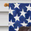 Polyester à 2 côtés 28 x 40 po drapeau maison-1879434075