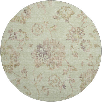 Premium Machine Washable Prisco Aloe Rug