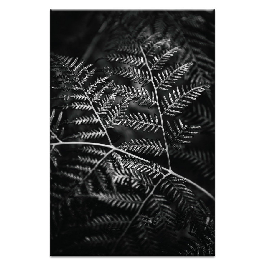'Grove' by Andrew Paranavitana Photographic Print on Wrapped Canvas