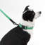 Laisse ajustable mains libres et collier 6-en-1 avec lampe DEL Luna 8 pi-112281011-133664131
