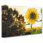 Sunflower Vol.2 - Wrapped Canvas Print-61837751