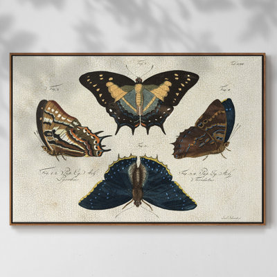 " Crackled Butterflies IV " Print