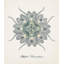 Nautical Art I Print by Sofia Fox-26933158-26933159