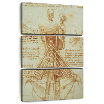 Anatomie du cou Keiri