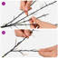 Holiday Lighting-2053243881-2053243880