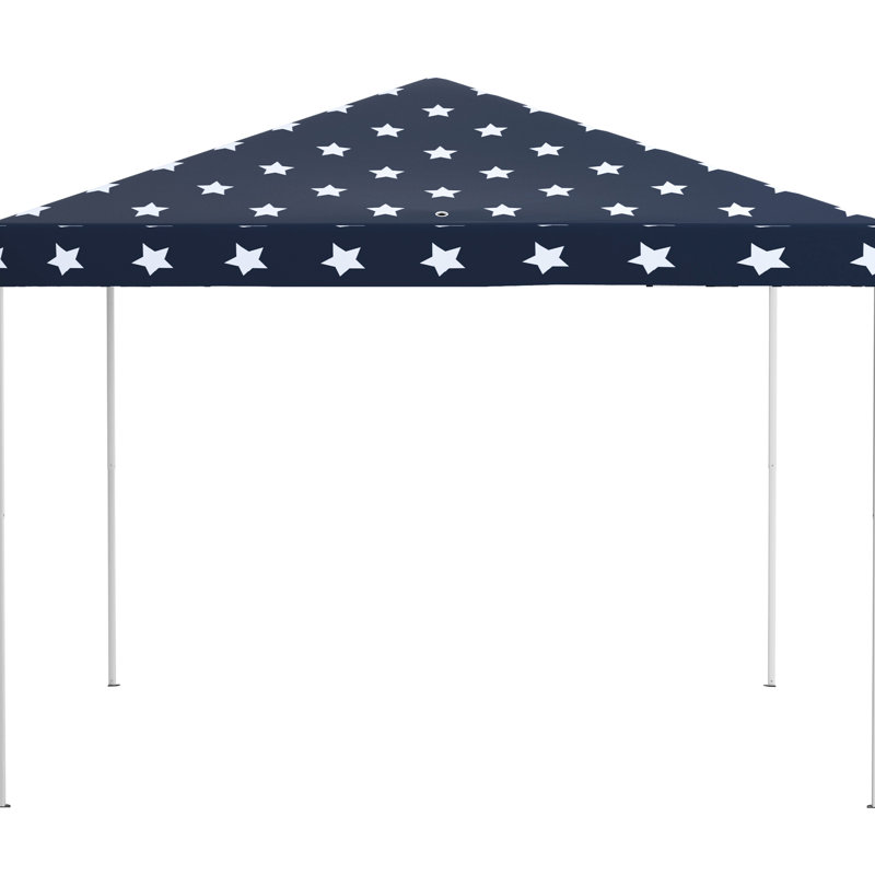 Tente d'auvent instantanée avec filet. Hauteur réglable pour les activités de plein air. Abat-jour de 100 pieds carrés pour 10 personnes. Facile à assembler et portable. Toit bloquant et filet de transport, réglable. Abri