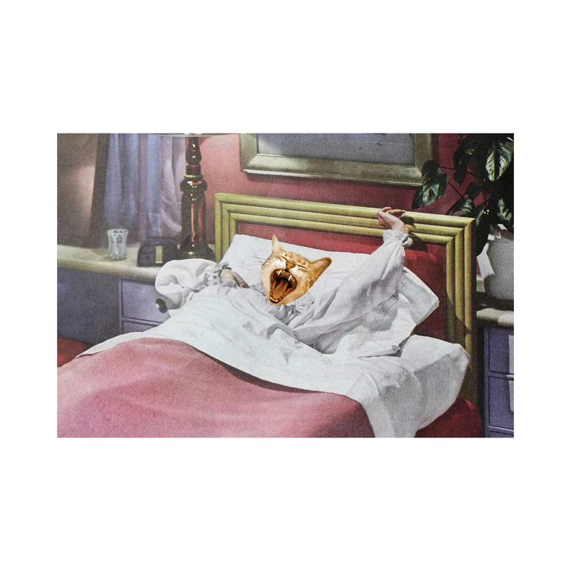 Catnap 1PC6