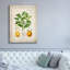 «Citrus Vularis Risso» par Jean Plout, art mural sur toile-1253772553
