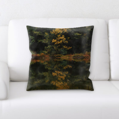 Throw Pillow