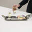 Ring Stainless Steel Tray-39376031