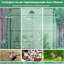 Annalyss 7 Ft W x 3 Ft D Greenhouse