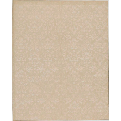 Ikat Area Rug in Beige