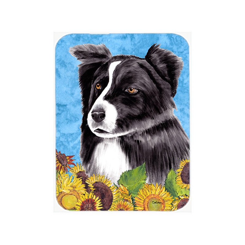 Border collie et planche à découper en verre tournesol
