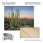 Cactus orgue au crépuscule sur bois-1685454372