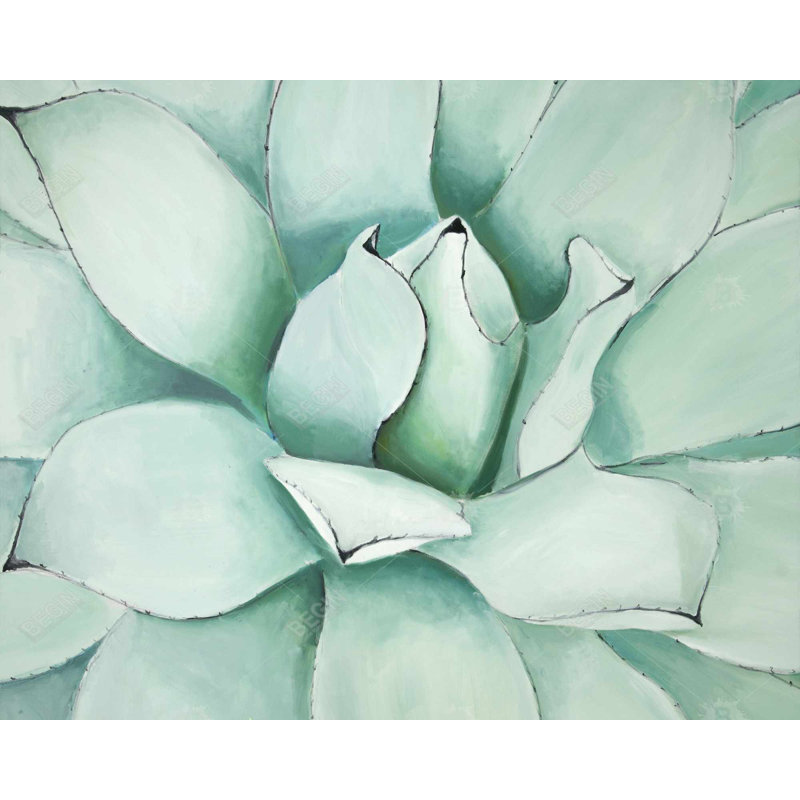 Plantes succulentes - Toile contemporaine pour décoration intérieure Cactus