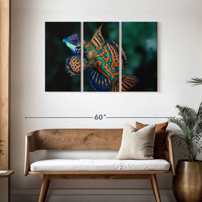 Brampt Mandarin Dragonet, 28" H x 45" W