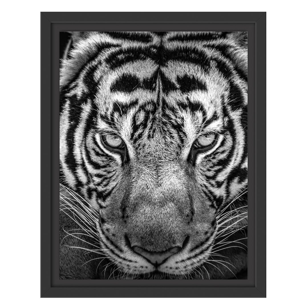 Gerahmtes Wandbild Tiger mit Augen