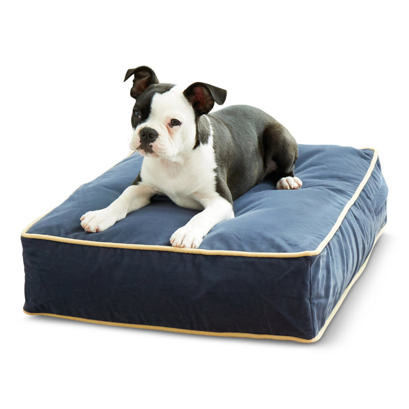 Lit pour chien Olivarez Classic, Très petit (L 24 po x l 18 po x H 5 po), En jean