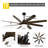 72" Black Propeller Large Ceiling Fan with Light and Remote Control, 3-Color Temperature, 6-Speed Quiet DC Motor Ceiling Fan for Living Room, Bedroom