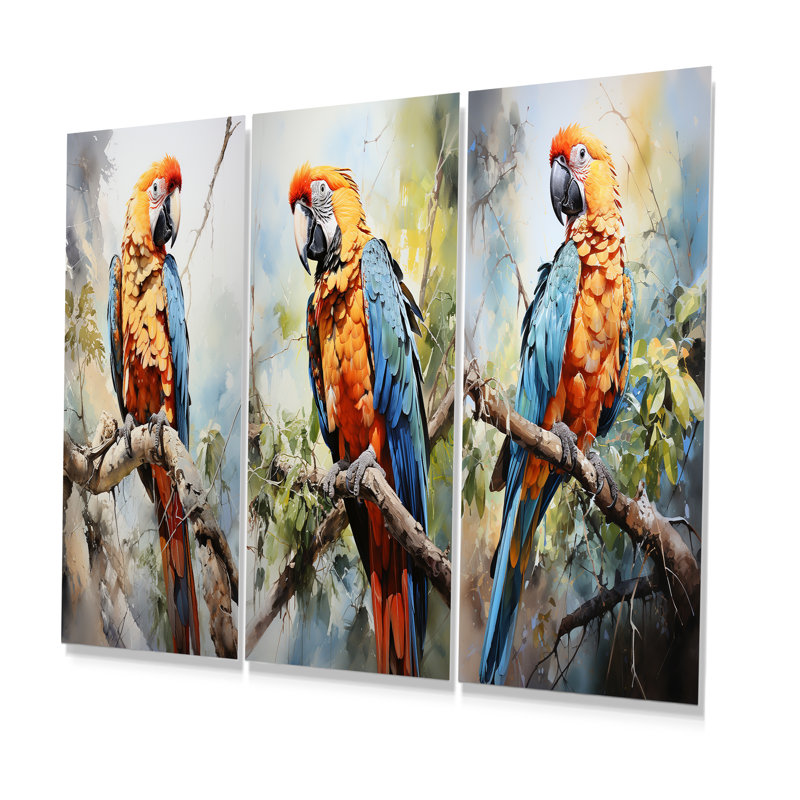 «Parrots Sunny Companions Delight», ensemble de 3 reproductions d'art mural en métal, H 28 po x l 36 po