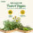 Wood Raised Garden Bed-57898439