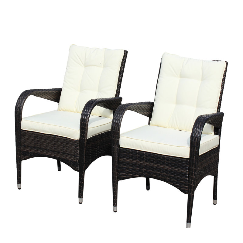2 chaises de salle à manger avec coussins beige