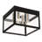 Benjamina Wall Light-1671341950