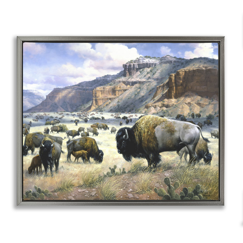 "Grazing Bison & Buffalo", art mural encadré par Jack Sorenson, Cadre flottant gris lustré, H 25 po x l 31 po