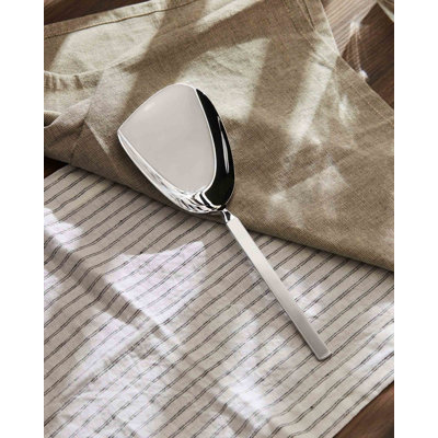 Dry Stainless Steel Serving Spoon