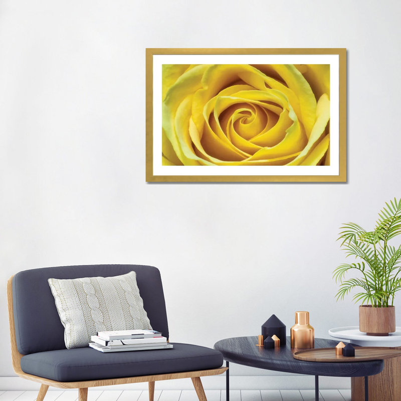 Jaune rose par Glauco Meneghelli-impression, Blanc, H 24 po x l 32 po x P 1 po, Papier encadré doré