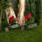 Shadforth Metal Wheelbarrow Planter