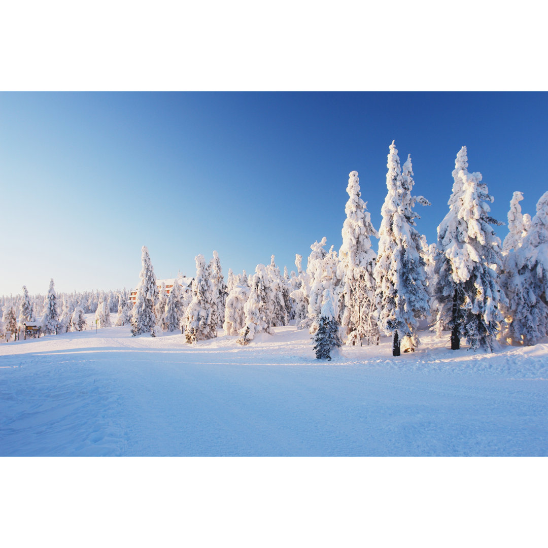 Leinwandbild Krkonose, Czech Republic von Milda79