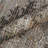 Port Lincoln Oriental Indoor Rug-543560316