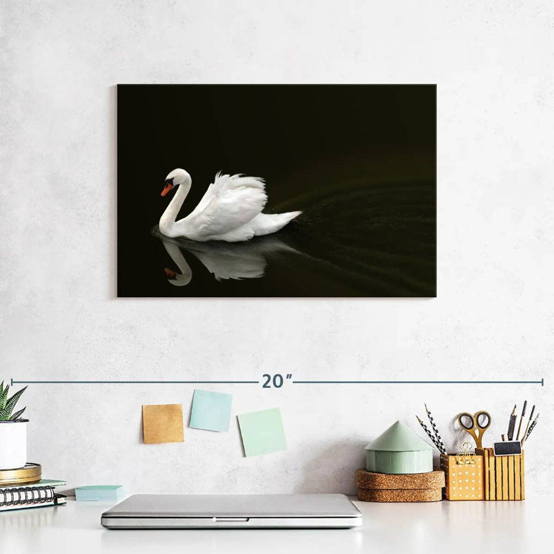Brampt White Swan Elegance, 8" H x 12" W