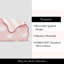 kate spade new york Stripe Dot Quilt Bedding Set, Reversible Cotton Bedding, Pink-996231456-996231458