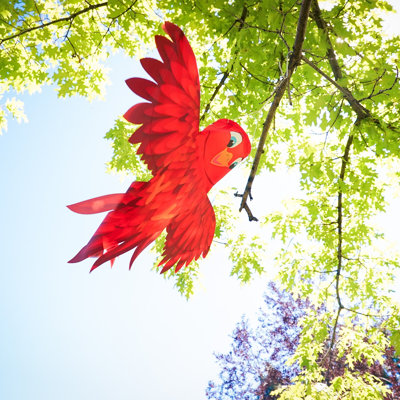Red Bird Windsock
