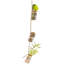 Frazee Glass Hanging Planter