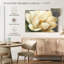 Fleur de magnolia sur fond gris-609330315-609330314