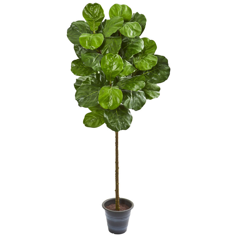 Faux Fiddle Leaf Fig Tree in Planter, 60" H x 19" W x 19" D